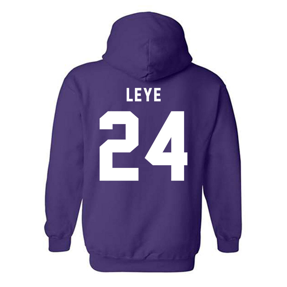 CCNY - NCAA Men's Basketball : David Leye - Classic Shersey Hooded Sweatshirt-1