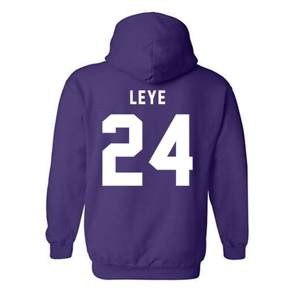 CCNY - NCAA Men's Basketball : David Leye - Classic Shersey Hooded Sweatshirt-1