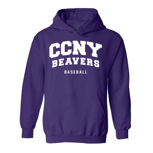 CCNY - NCAA Baseball : Frank Cundari - Classic Shersey Hooded Sweatshirt-0