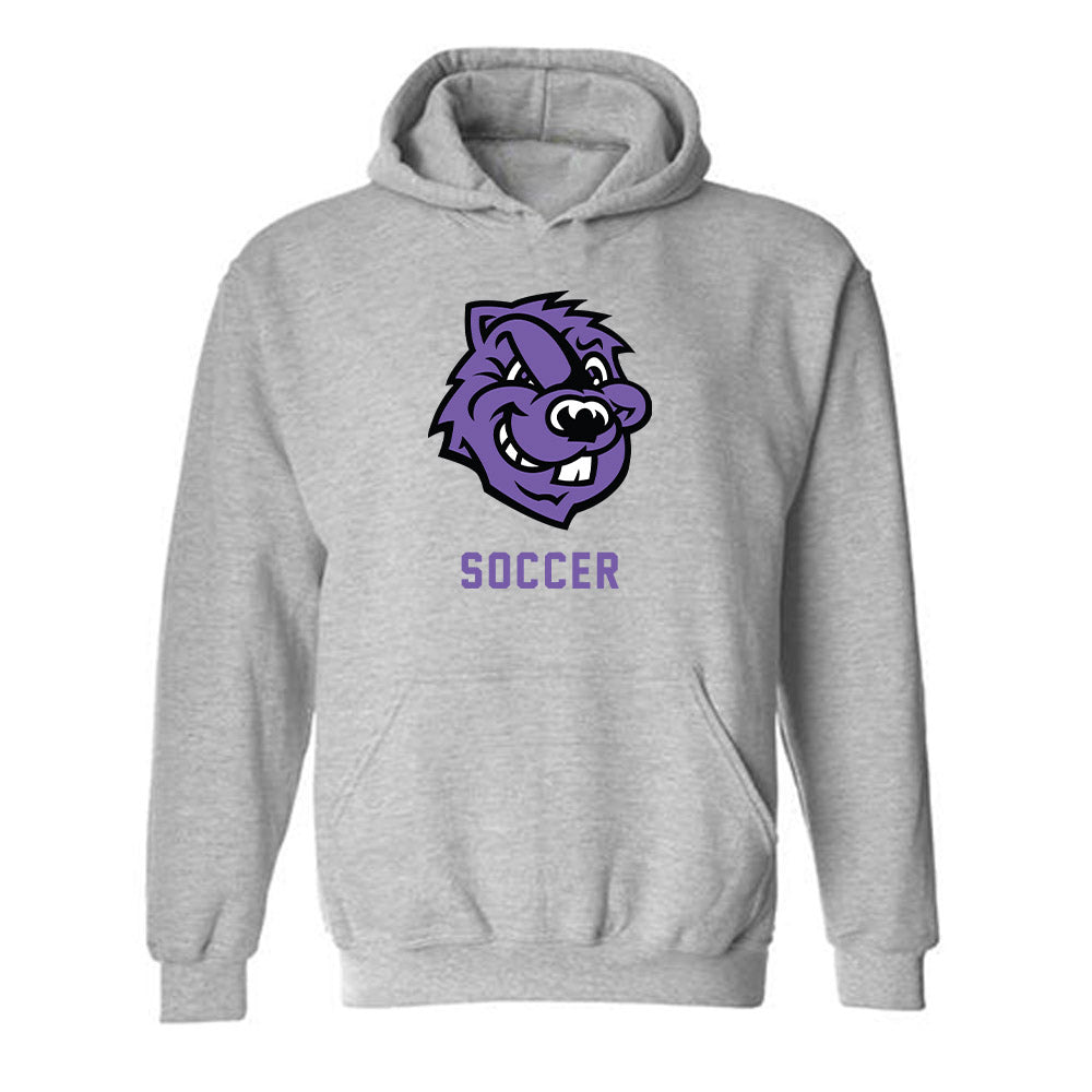 CCNY - NCAA Men's Soccer : Carlos Ortiz - Classic Shersey Hooded Sweatshirt-0
