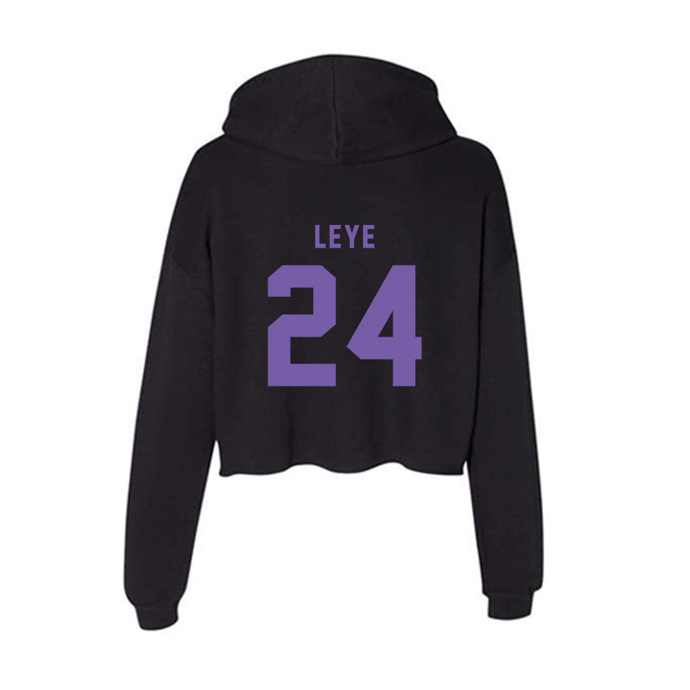 CCNY - NCAA Men's Basketball : David Leye - Women's Crop Fleece Hoodie-1