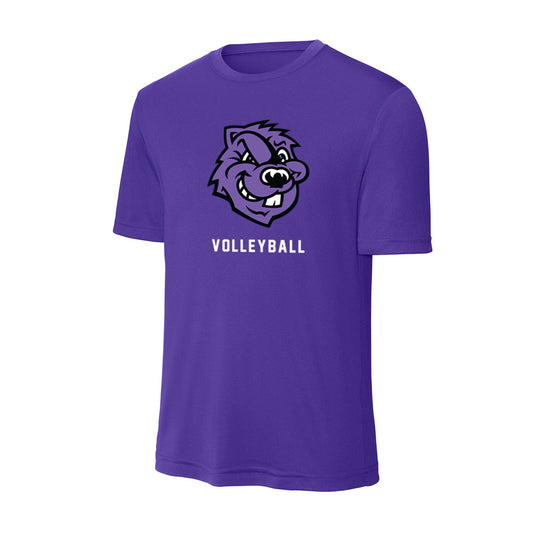 CCNY - NCAA Women's Volleyball : Ivanna Zamora Sanchez - Activewear T-Shirt-0