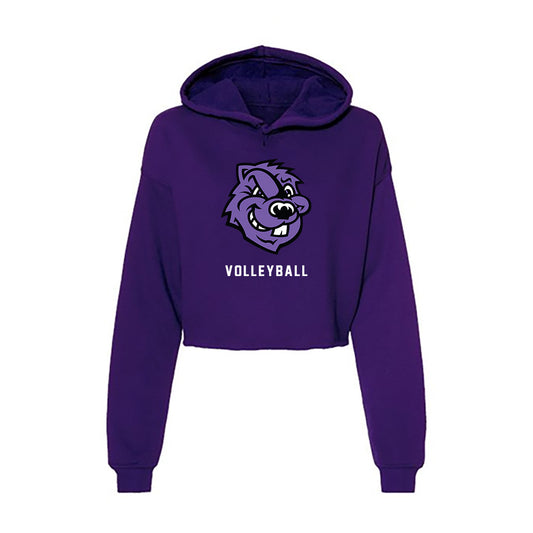 CCNY - NCAA Women's Volleyball : Ivanna Zamora Sanchez - Women's Crop Fleece Hoodie-0