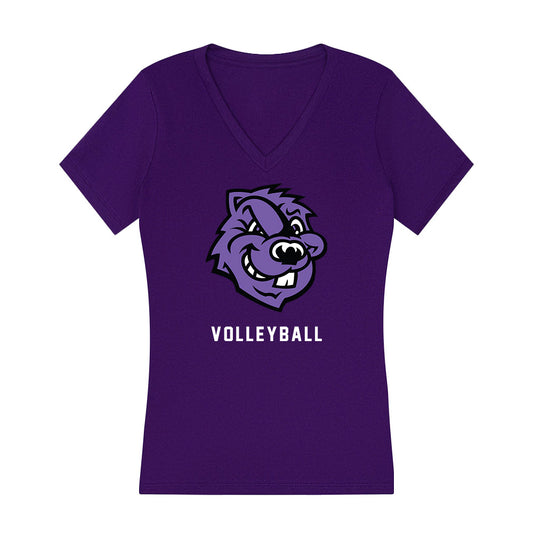 CCNY - NCAA Women's Volleyball : Ivanna Zamora Sanchez - Women's V-Neck T-Shirt-0