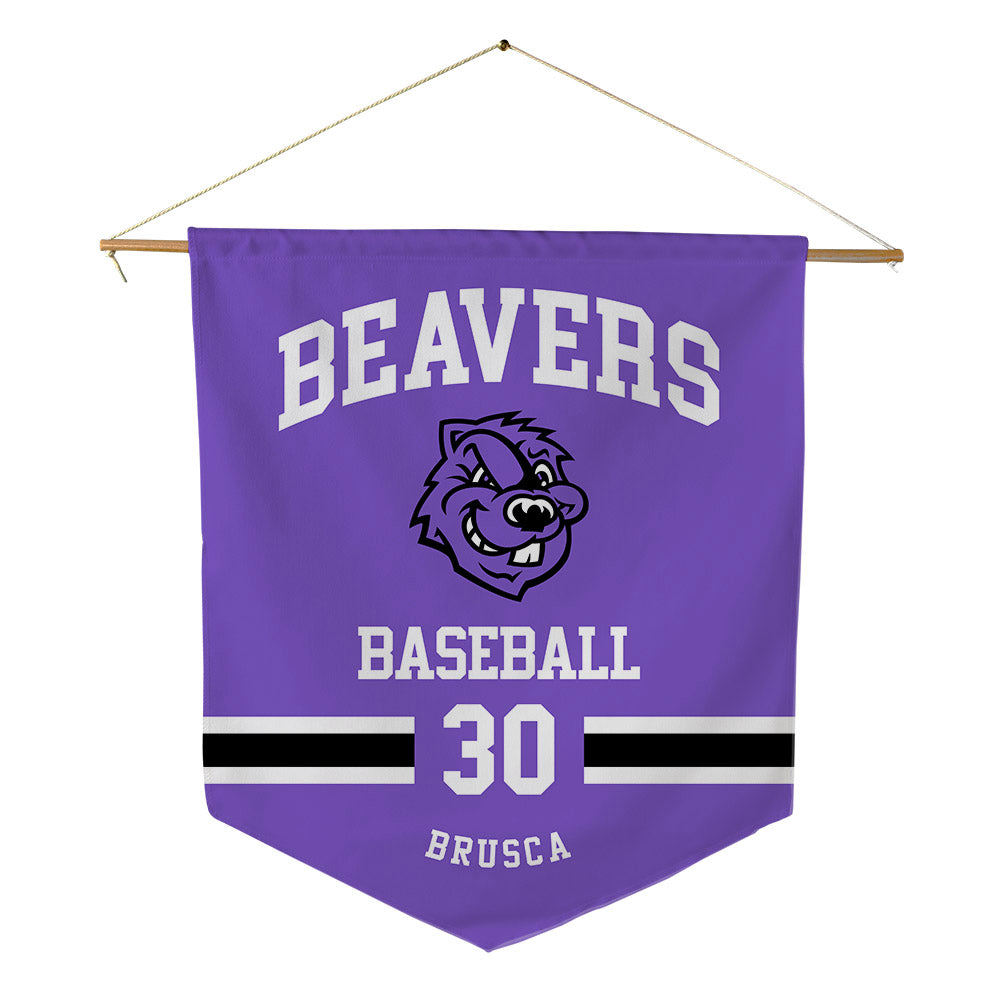 CCNY - NCAA Baseball : Max Brusca - Pennant - 18" x 21"-0