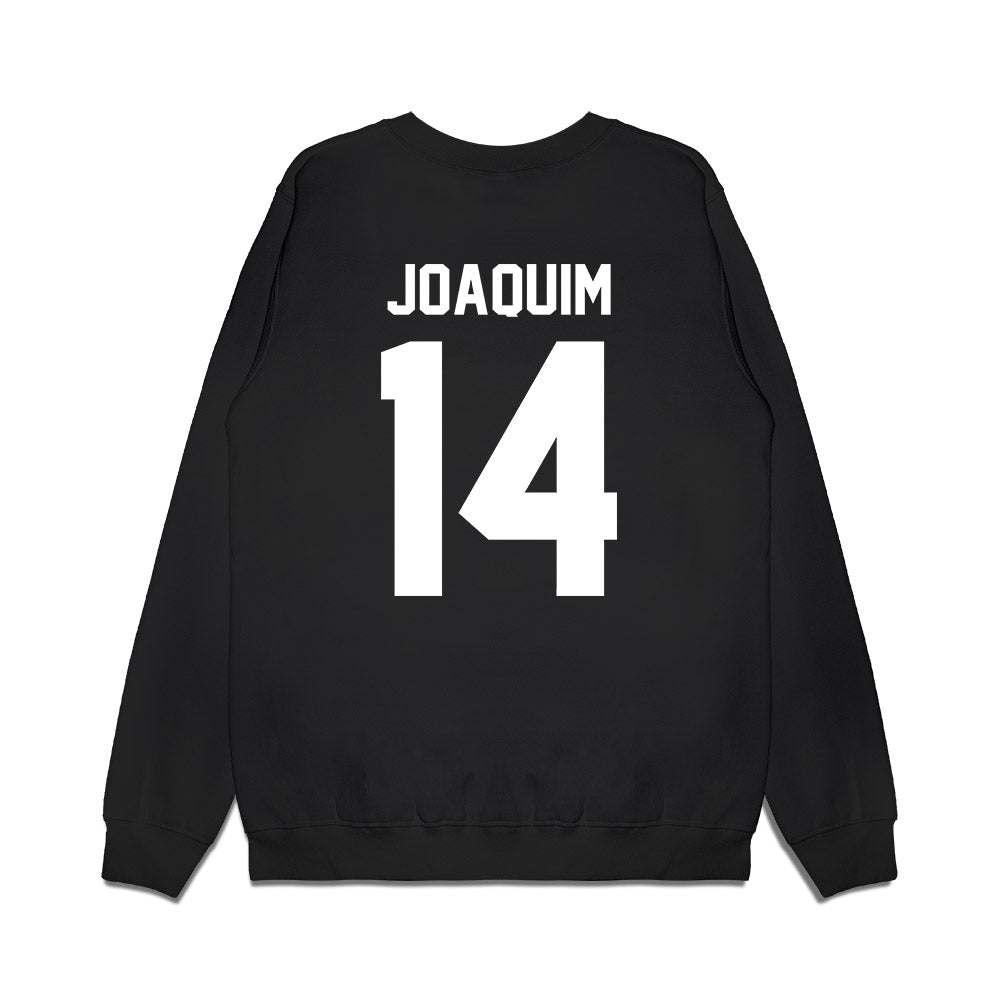 New Mexico - NCAA Women's Basketball : Hulda Joaquim - Vintage Basketball Premium Crewneck Sweatshirt-1