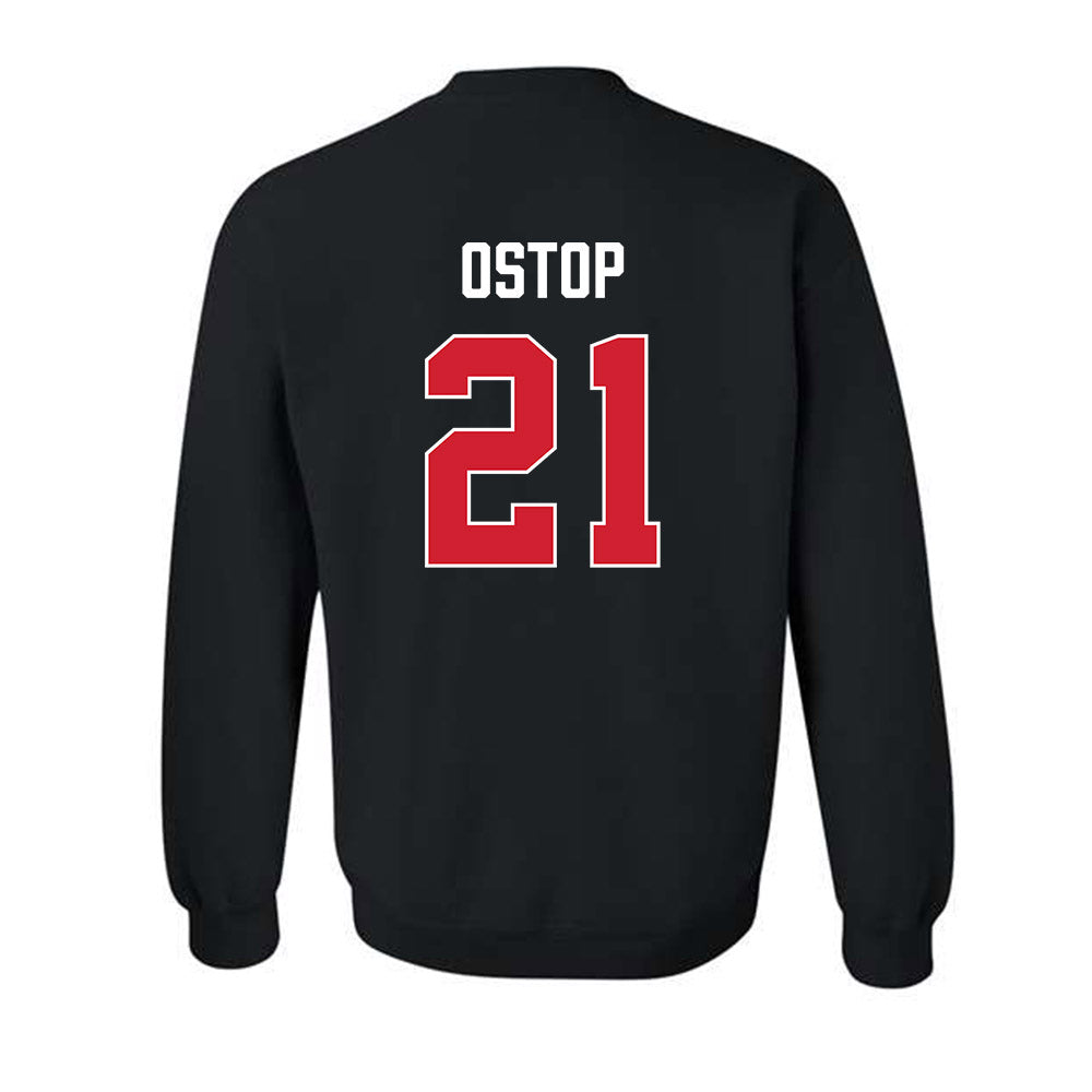 Fairfield - NCAA Men's Basketball : Tanner Ostop - Vintage Shersey Crewneck Sweatshirt-1