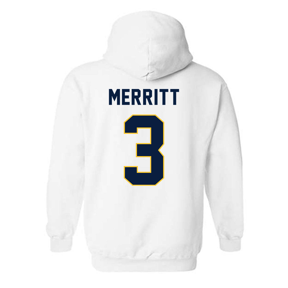 East Tennessee State - NCAA Softball : addison merritt - Classic Shersey Hooded Sweatshirt-1