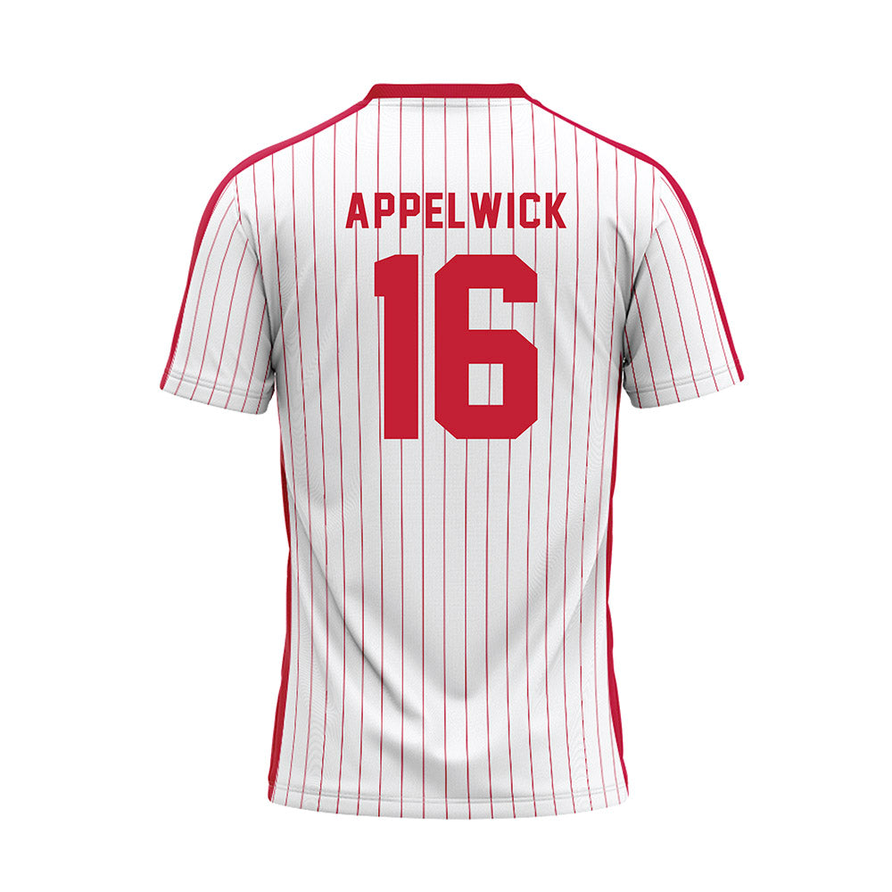 Miami of Ohio - NCAA Baseball : Evan Appelwick - Pinstripe Baseball Jersey-1