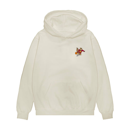 Minnesota - NCAA Men's Basketball : Cade Tyson - Collage Premium Hooded Sweatshirt-0