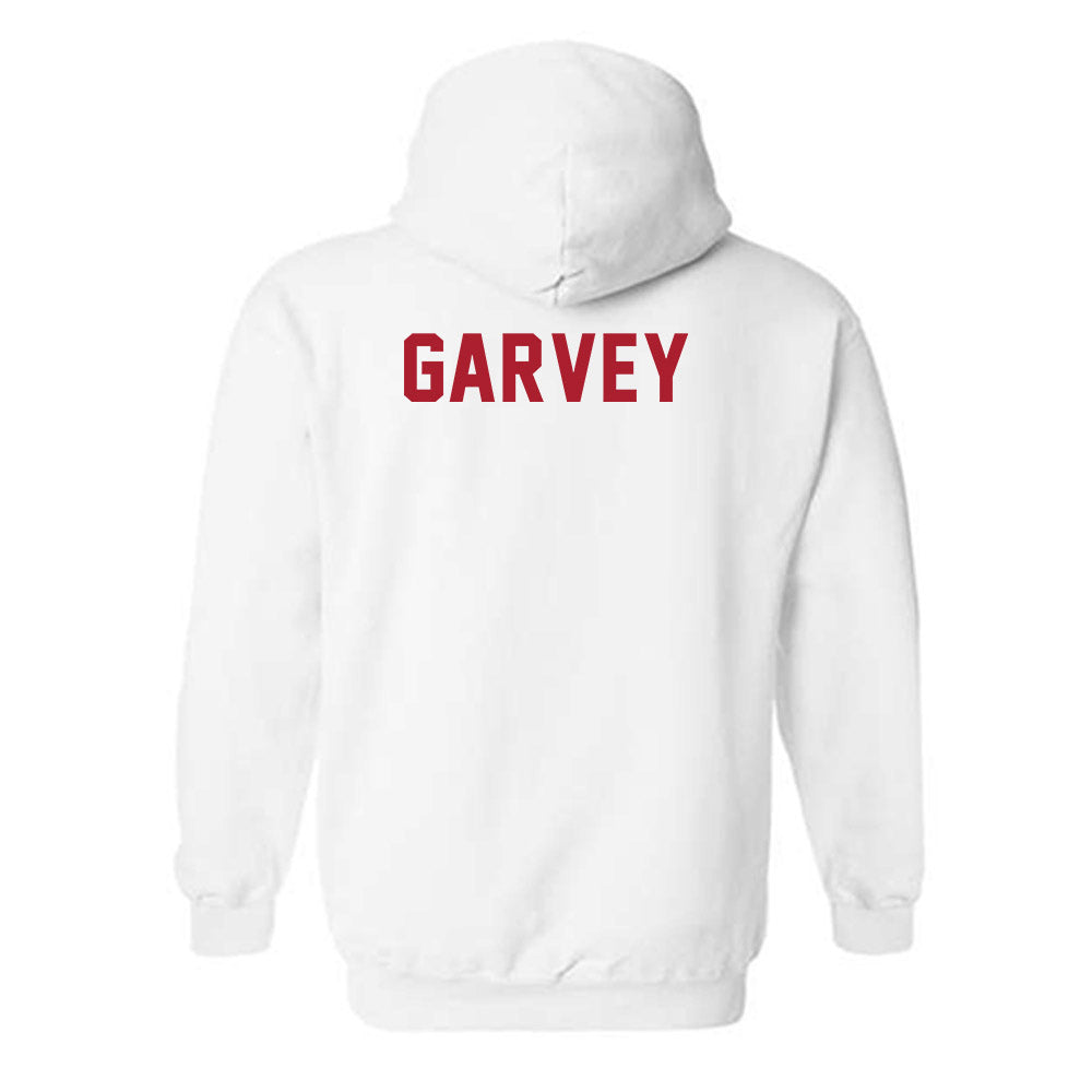 Liberty - NCAA Women's Volleyball : Todd Garvey - Classic Shersey Hooded Sweatshirt-1