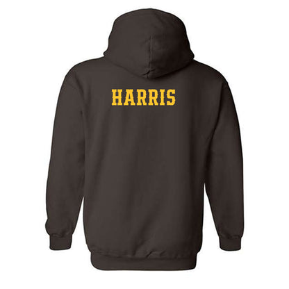 Wyoming - NCAA Women's Swimming & Diving : Raiden Harris - Classic Shersey Hooded Sweatshirt-1