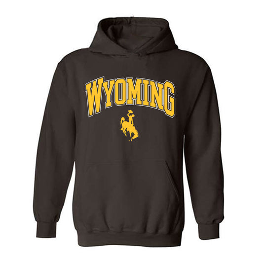 Wyoming - NCAA Women's Basketball : Katie Harrington - Classic Shersey Hooded Sweatshirt-0