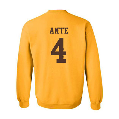 Wyoming - NCAA Women's Tennis : Jeselle Ante - Crewneck Sweatshirt