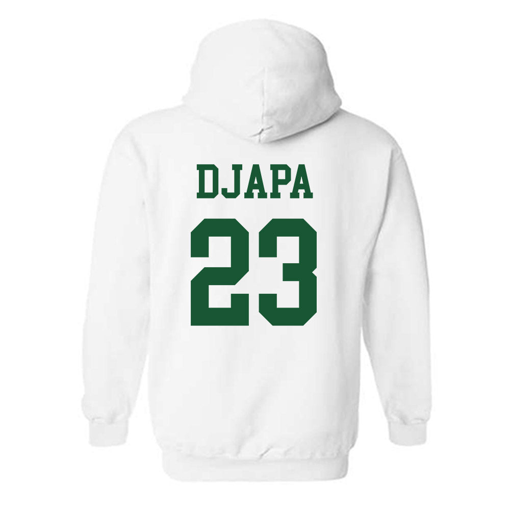 Colorado State - NCAA Men's Basketball : Nikola Djapa - Hooded Sweatshirt-1