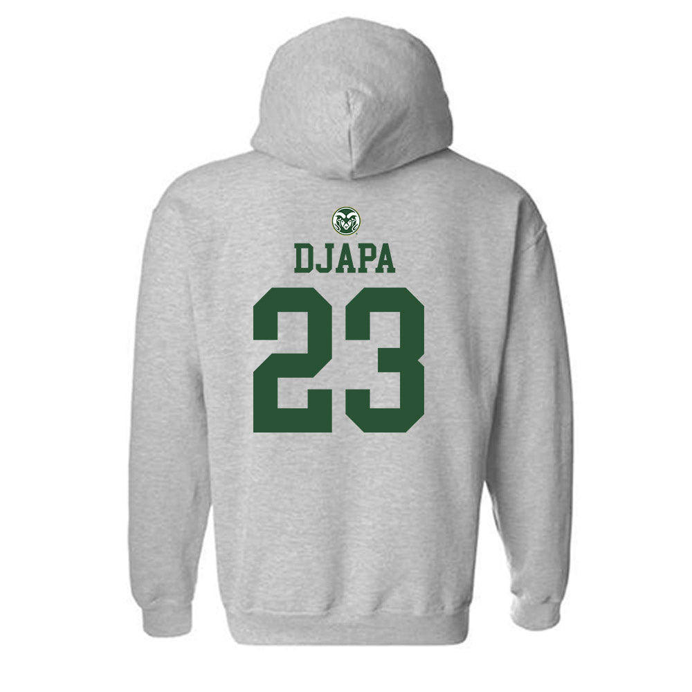 Colorado State - NCAA Men's Basketball : Nikola Djapa - Hooded Sweatshirt-1