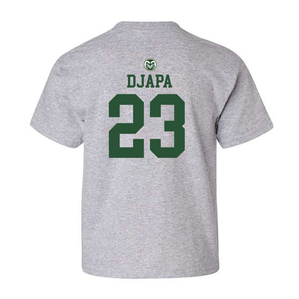Colorado State - NCAA Men's Basketball : Nikola Djapa - Youth T-Shirt-1