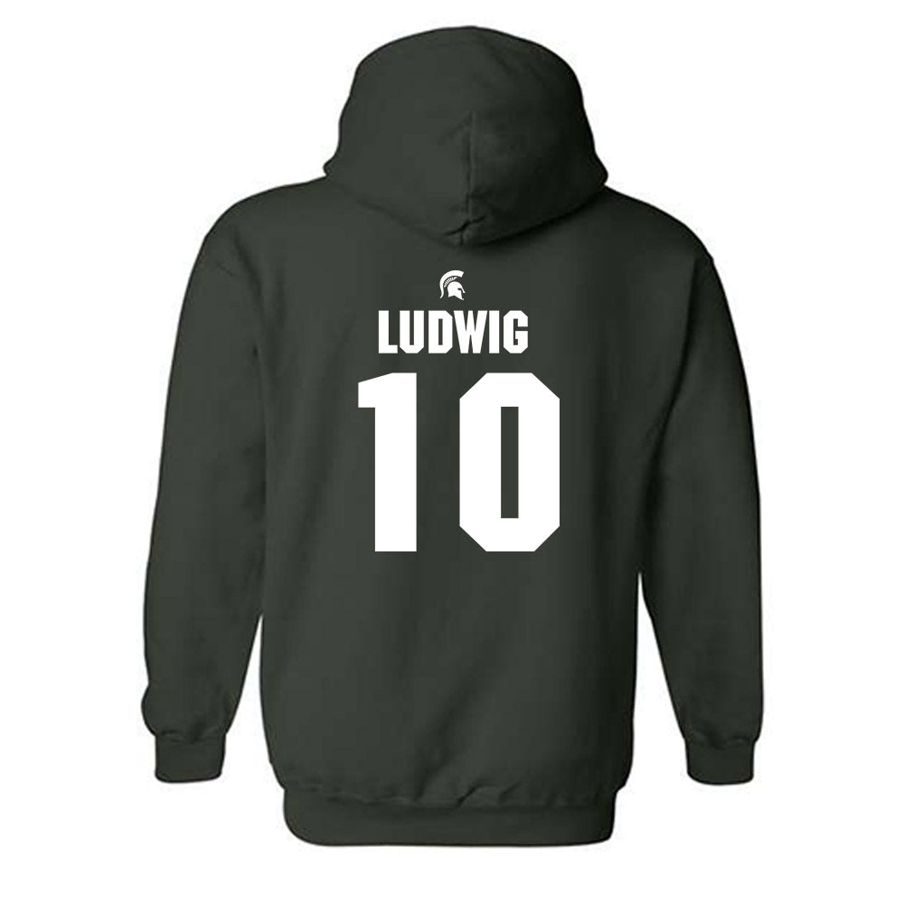 Michigan State - NCAA Men's Soccer : Richie Ludwig - Generic Shersey Hooded Sweatshirt