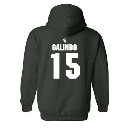 Michigan State - NCAA Softball : Alyssa Galindo - Generic Shersey Hooded Sweatshirt-1