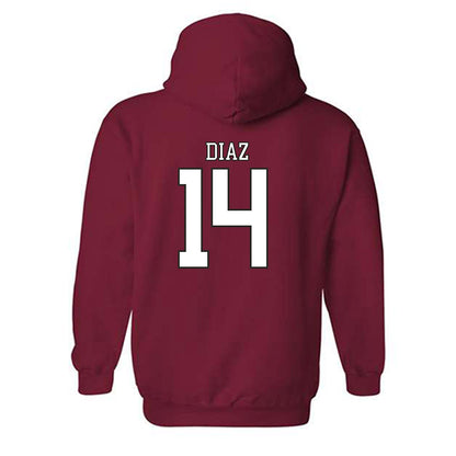 Troy - NCAA Baseball : Zaid Diaz - Generic Shersey Hooded Sweatshirt-1
