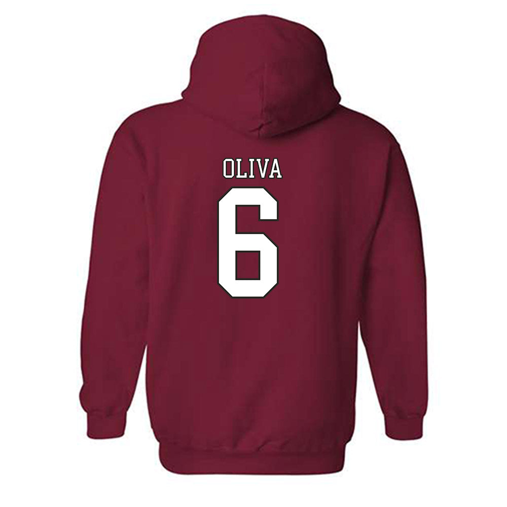 Troy - NCAA Softball : Caiden Oliva - Generic Shersey Hooded Sweatshirt-1