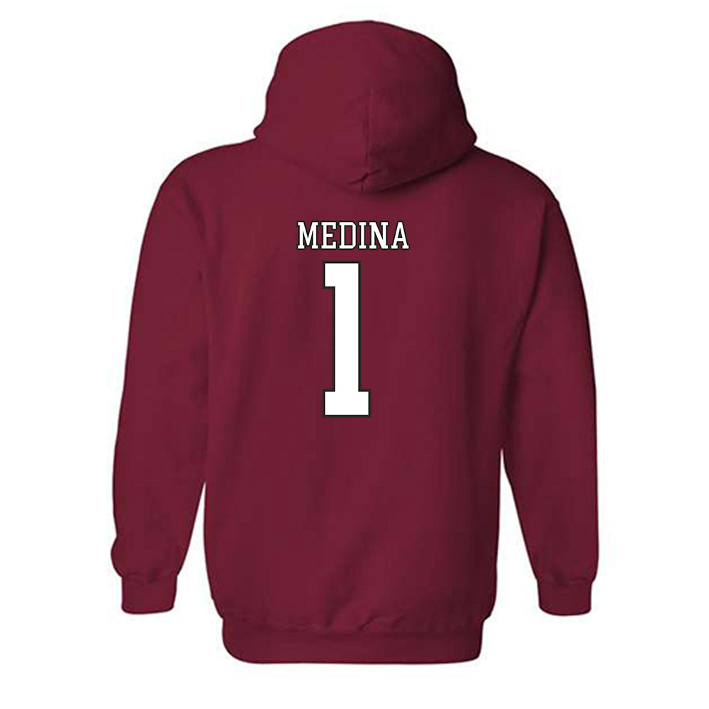 Troy - NCAA Football : Luis Medina - Generic Shersey Hooded Sweatshirt-1