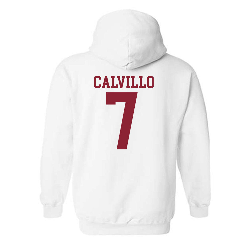 Troy - NCAA Women's Volleyball : Kalina Calvillo - Generic Shersey Hooded Sweatshirt-1