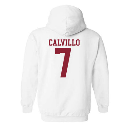 Troy - NCAA Women's Volleyball : Kalina Calvillo - Generic Shersey Hooded Sweatshirt-1