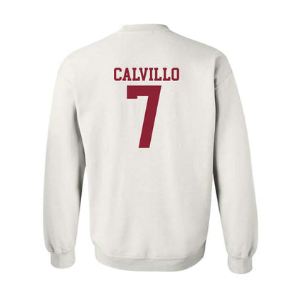 Troy - NCAA Women's Volleyball : Kalina Calvillo - Generic Shersey Crewneck Sweatshirt-1