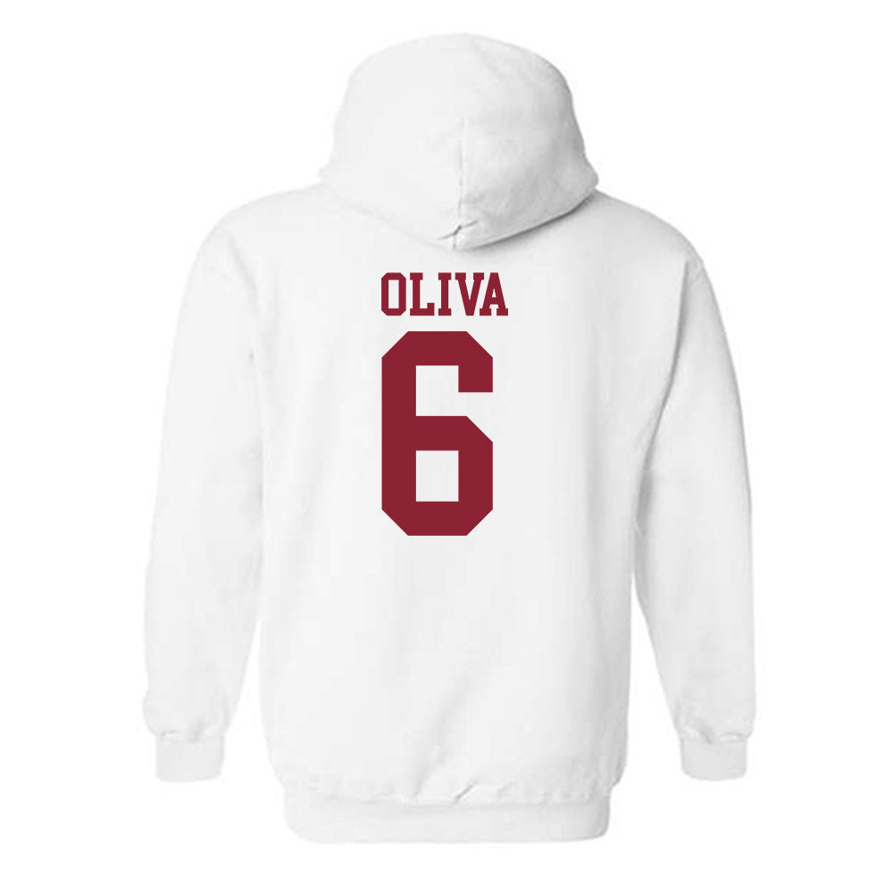 Troy - NCAA Softball : Caiden Oliva - Generic Shersey Hooded Sweatshirt-1