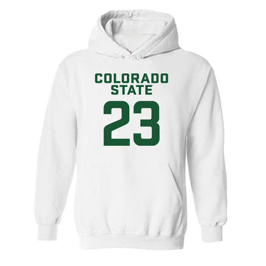 Colorado State - NCAA Men's Basketball : Nikola Djapa - Hooded Sweatshirt-0