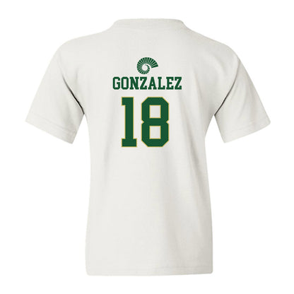 Colorado State - NCAA Softball : Rylee Gonzalez - Youth T-Shirt-1