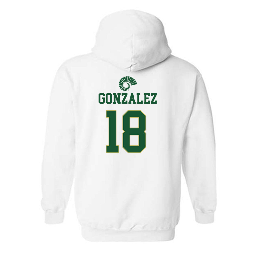 Colorado State - NCAA Softball : Rylee Gonzalez - Hooded Sweatshirt-1