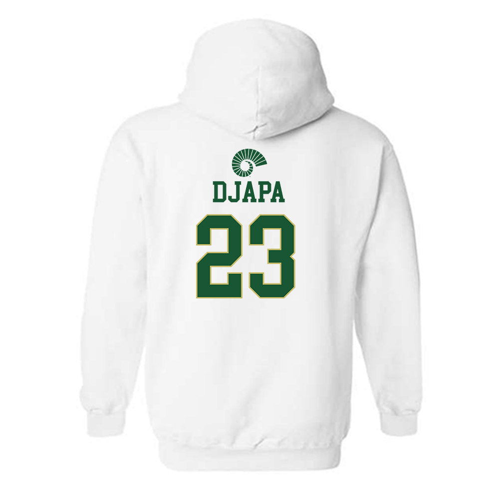 Colorado State - NCAA Men's Basketball : Nikola Djapa - Hooded Sweatshirt-1