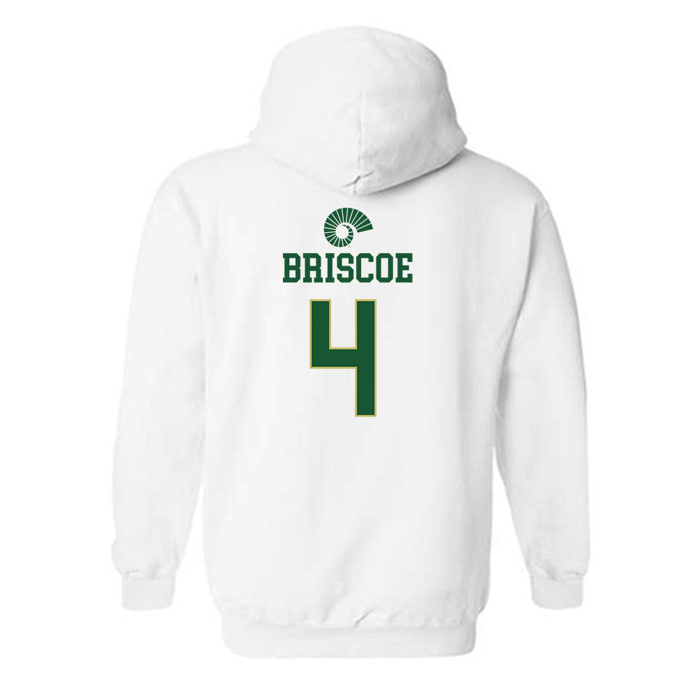 Colorado State - NCAA Women's Soccer : Kylie Briscoe - Hooded Sweatshirt-1