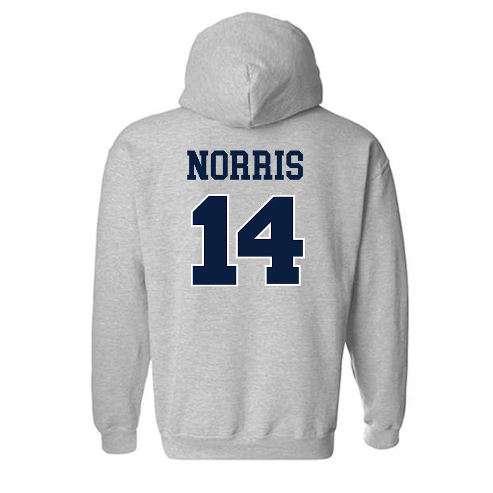 Liberty - NCAA Softball : Aubry Norris - Generic Shersey Hooded Sweatshirt-1