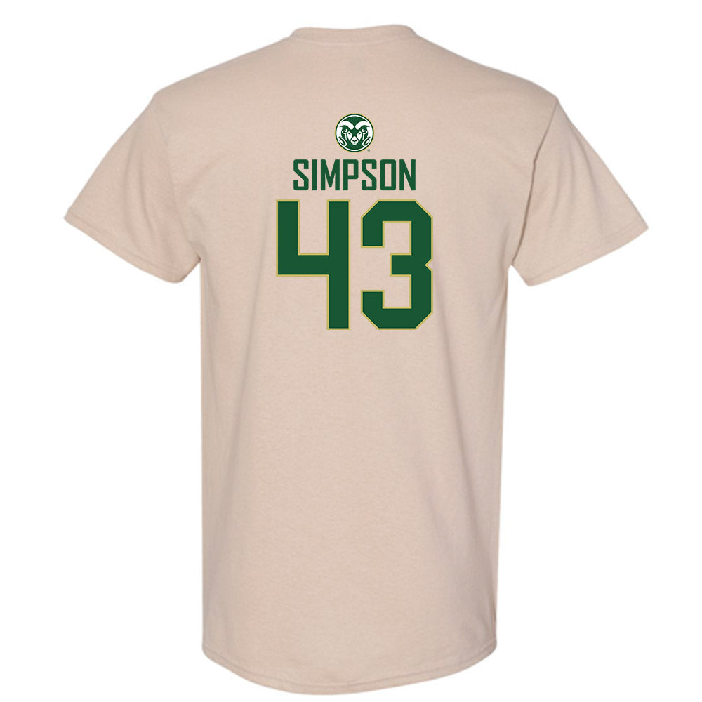 Colorado State - NCAA Women's Volleyball : Riley Simpson - T-Shirt-1