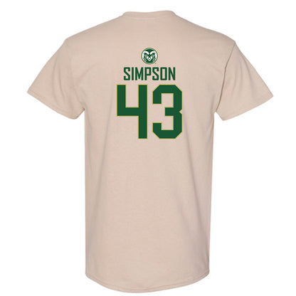Colorado State - NCAA Women's Volleyball : Riley Simpson - T-Shirt-1