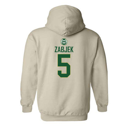 Colorado State - NCAA Women's Volleyball : Sofia Zabjek - Hooded Sweatshirt-1