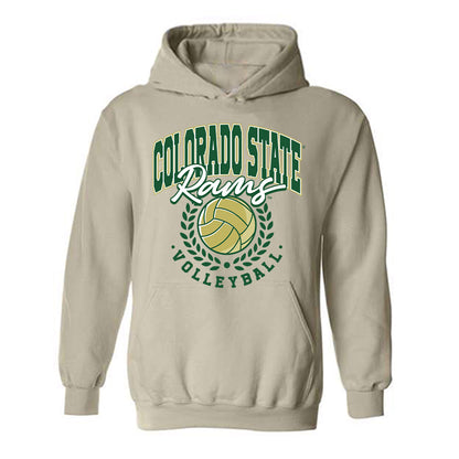 Colorado State - NCAA Women's Volleyball : Sofia Zabjek - Hooded Sweatshirt-0