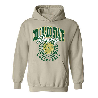 Colorado State - NCAA Women's Volleyball : Erin Debiec - Hooded Sweatshirt