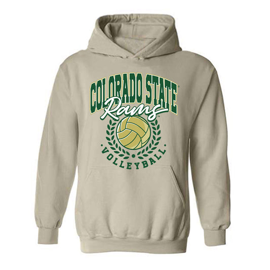 Colorado State - NCAA Women's Volleyball : Erin Debiec - Hooded Sweatshirt