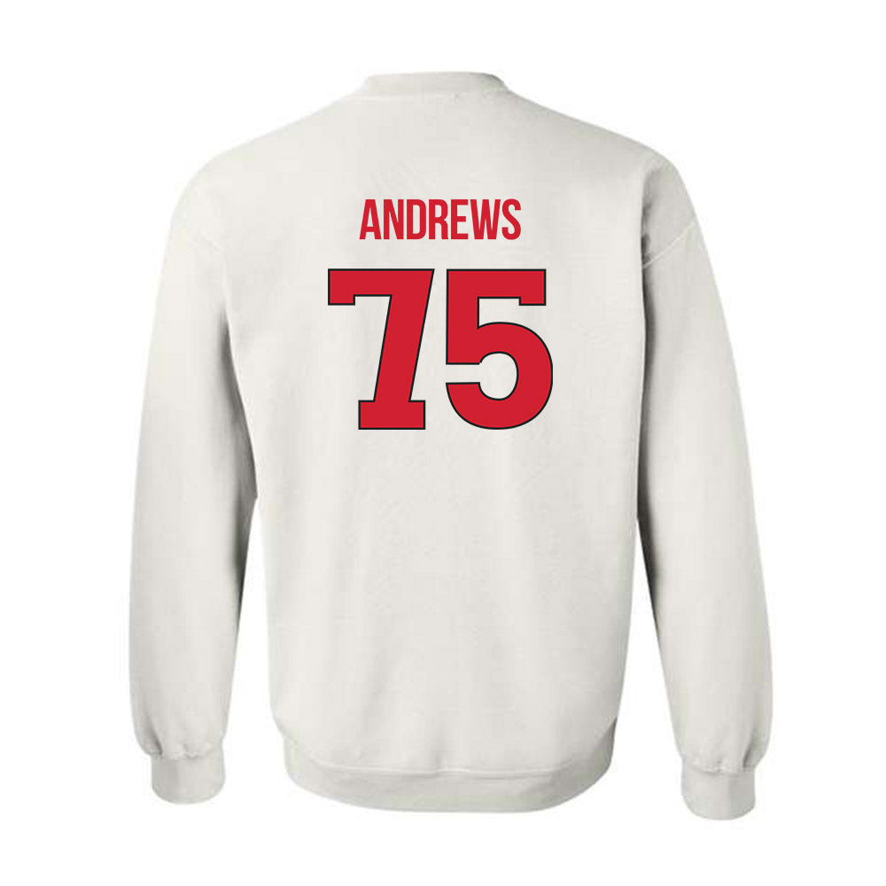 Rutgers - NCAA Football : Raynor Andrews - Crewneck Sweatshirt