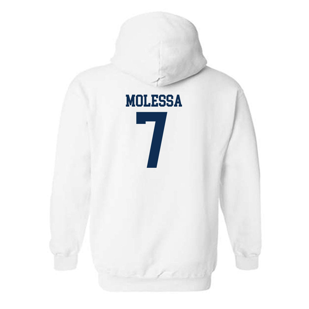 West Virginia - NCAA Baseball : Maxwell Molessa - Classic Shersey Hooded Sweatshirt-1
