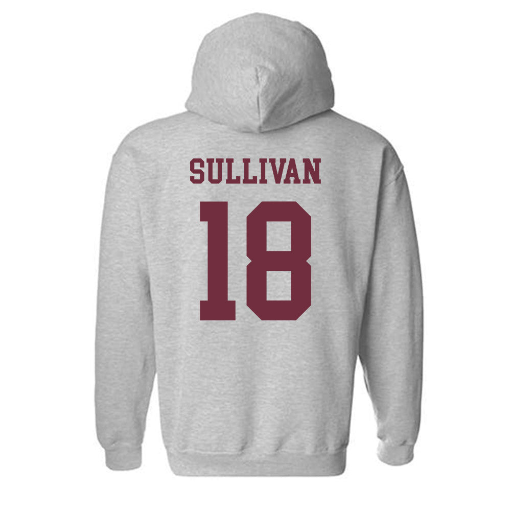 Mississippi State - NCAA Baseball : Noah Sullivan - Classic Shersey Hooded Sweatshirt-1
