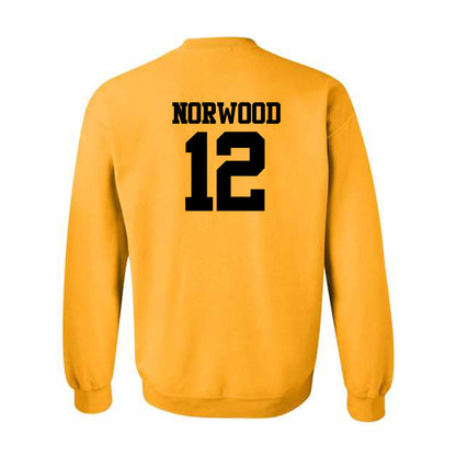 Missouri - NCAA Football : Dreyden Norwood - Crewneck Sweatshirt