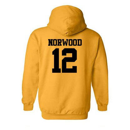 Missouri - NCAA Football : Dreyden Norwood - Hooded Sweatshirt