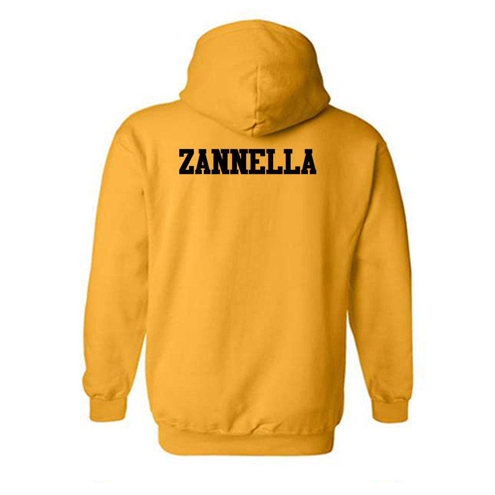 Missouri - NCAA Men's Swimming & Diving : Tommaso Zannella - Generic Shersey Hooded Sweatshirt-1