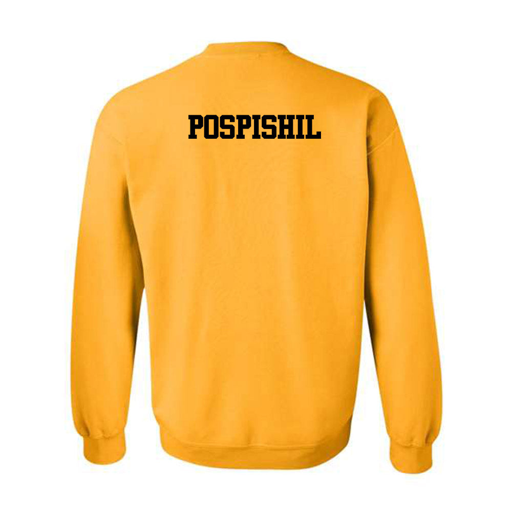 Missouri - NCAA Men's Swimming & Diving : Jaden Pospishil - Crewneck Sweatshirt