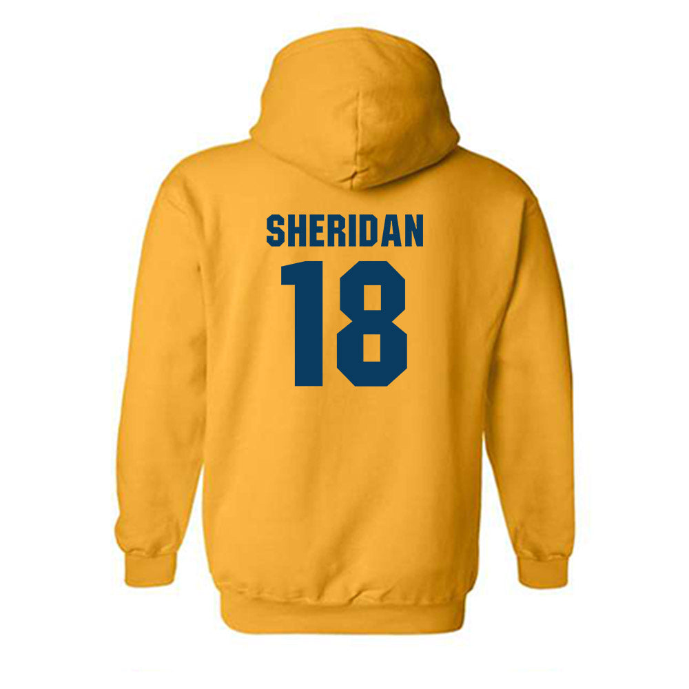 West Virginia - NCAA Women's Volleyball : Trinity Sheridan - Generic Sports Shersey Hooded Sweatshirt-1